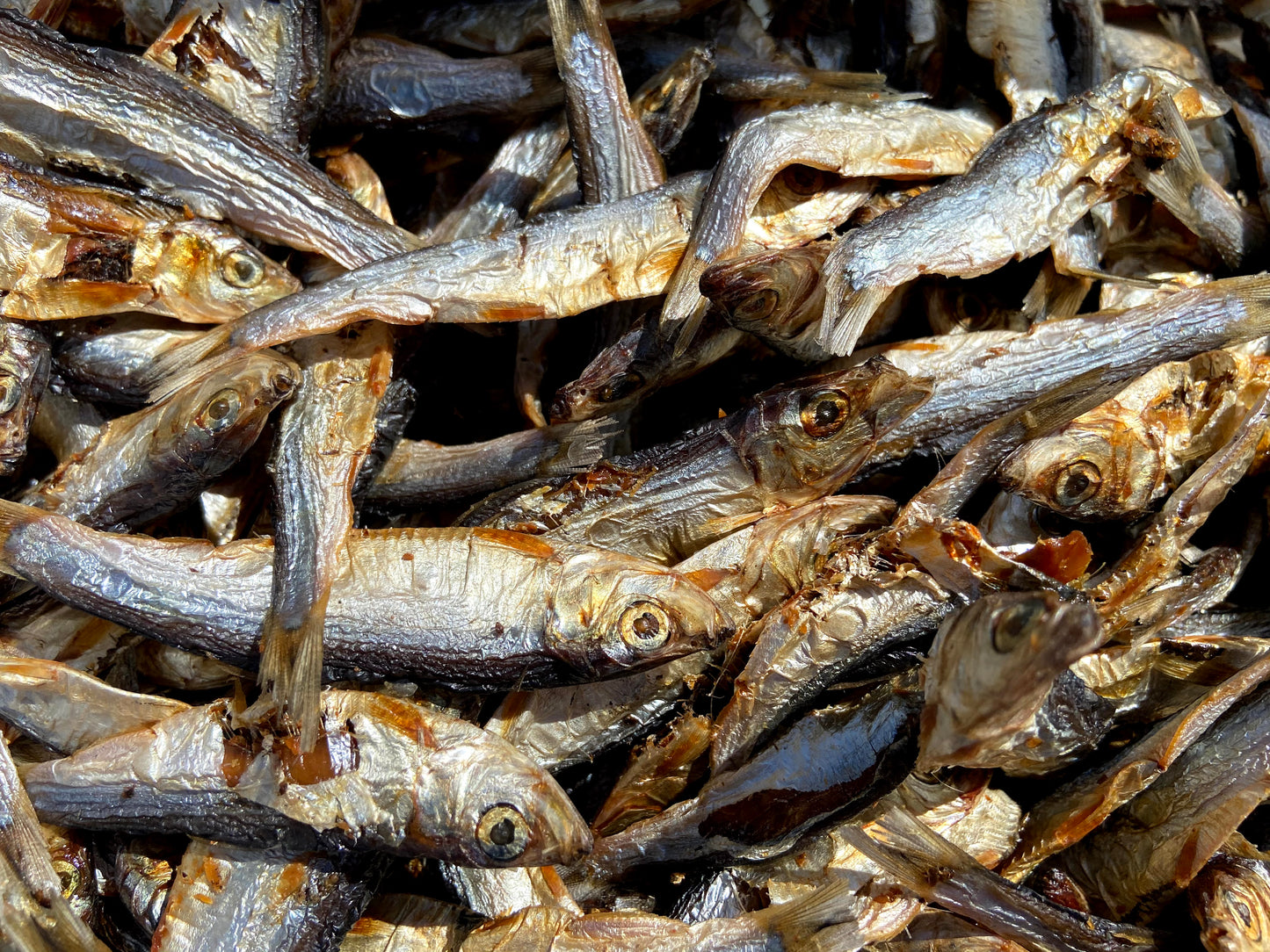 Dehydrated Sprats