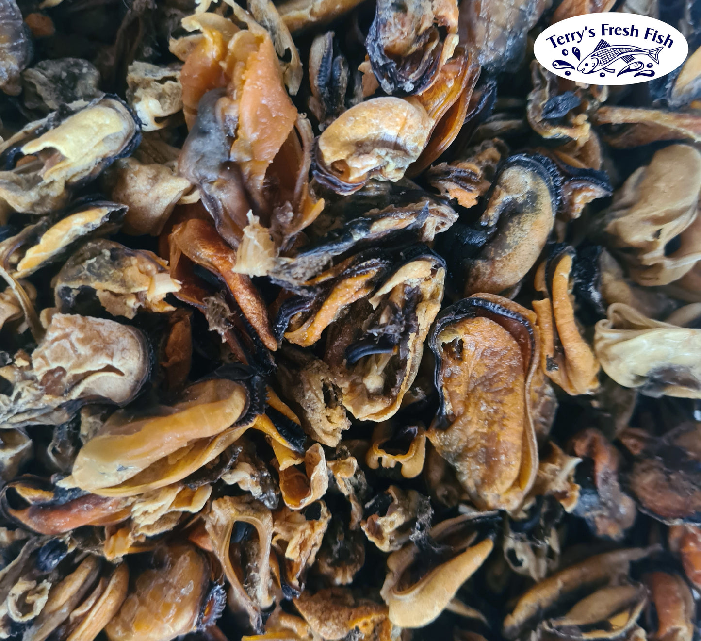 Dried Mussels (PRE ORDER)