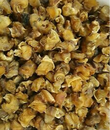 Whelk Nuggets